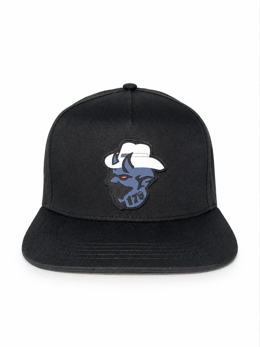 Gorra plana 170