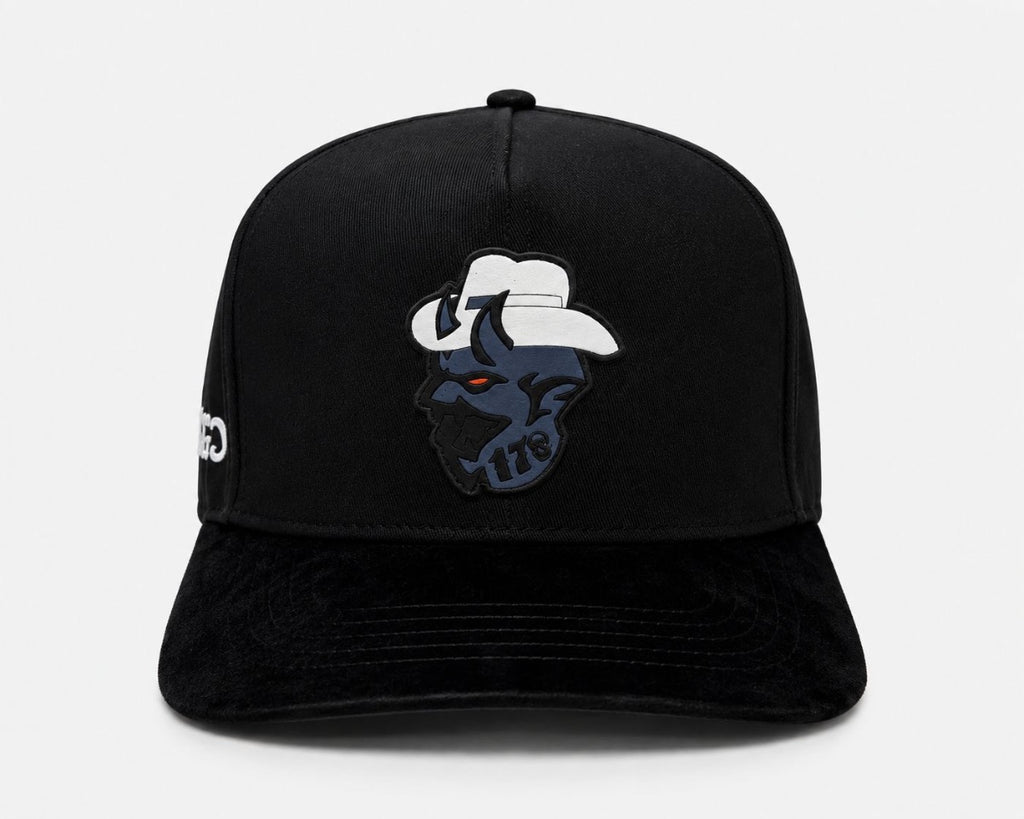 Gorra curveada 170